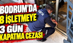 Bodrum’da 8 işletmeye 3 gün kapatma cezası
