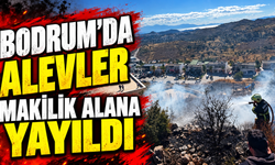 Bodrum’da alevler makilik alana yayıldı