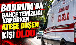 Bodrum'da bahçe temizliği yaparken ateşe düşen kişi öldü