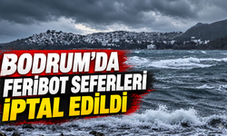 Bodrum'da feribot seferleri iptal edildi