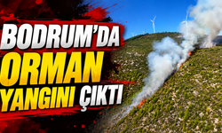Bodrum’da orman yangını çıktı