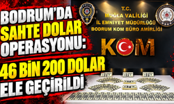 Bodrum’da sahte dolar operasyonu: 46 bin 200 dolar ele geçirildi