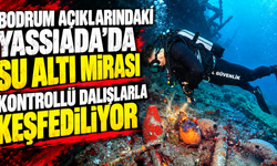 Bodrum açıklarındaki Yassıada'da su altı mirası kontrollü dalışlarla keşfediliyor