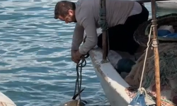 Fethiye'de halata dolanan caretta caretta kurtarıldı