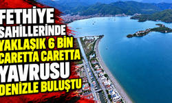 Fethiye sahillerinde yaklaşık 6 bin caretta caretta yavrusu denizle buluştu