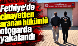 Fethiye'de cinayetten aranan hükümlü otogarda yakalandı