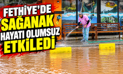 Fethiye'de sağanak hayatı olumsuz etkiledi