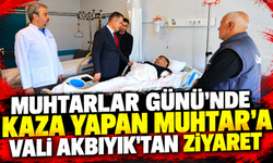 Muhtarlar Günü'nde kaza yapan Muhtar'a vali Akbıyık'tan ziyaret