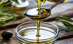 Muğla'da "Zeytin, Zeytinyağı ve Turizm Festivali" düzenlenecek