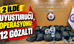 2 ilde uyuşturucu operasyonu: 12 gözaltı
