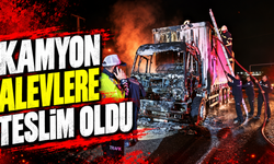Kamyon alevlere teslim oldu
