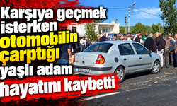 Karşıya geçmek isterken otomobilin çarptığı yaşlı adam hayatını kaybetti
