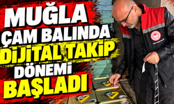 Muğla çam balında dijital takip dönemi başladı
