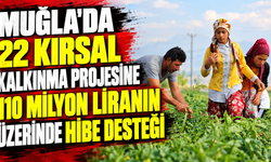 Muğla'da 22 kırsal kalkınma projesine 110 milyon liranın üzerinde hibe desteği