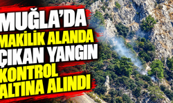 Muğla’da makilik alanda çıkan yangın kontrol altına alındı