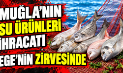 Muğla’nın su ürünleri ihracatı Ege’nin zirvesinde