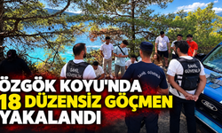 Özgök koyunda 18 düzensiz göçmen yakalandı