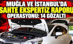 Muğla ve İstanbul'da "sahte ekspertiz raporu" operasyonu: 14 gözaltı