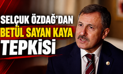SELÇUK ÖZDAĞ’DAN BETÜL SAYAN KAYA TEPKİSİ