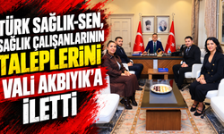 Türk Sağlık-Sen, sağlık çalışanlarının taleplerini Vali Akbıyık’a iletti