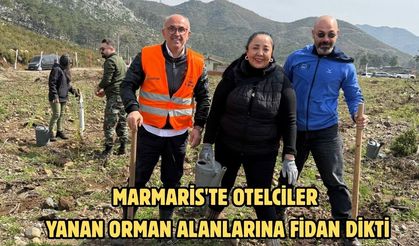 Marmaris'te otelciler yanan orman alanlarına fidan dikti