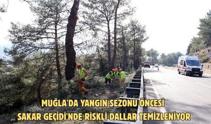 Muğla'da yangın sezonu öncesi Sakar Geçidi'nde riskli dallar temizleniyor