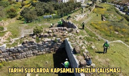Tarihi surlarda kapsamlı temizlik çalışması