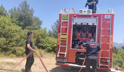 Muğla'da orman yangını ekiplerin hızlı müdahalesi ile söndürüldü