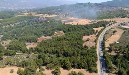 Seydikemer'deki orman yangını kontrol altına alındı