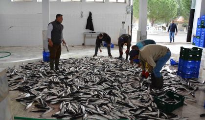 Muğla'nın Haziran ayı ihracatı 125,9 milyon dolar