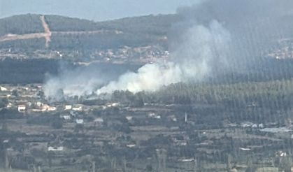 Muğla Menteşe’de orman yangını