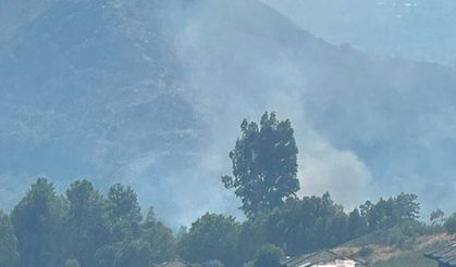 Dalaman'da orman yangını