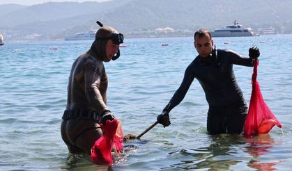 Bodrum'da deniz dibinden çıkanlar şaşırttı: Torba sahilinden 75 kilo atık çıkarıldı