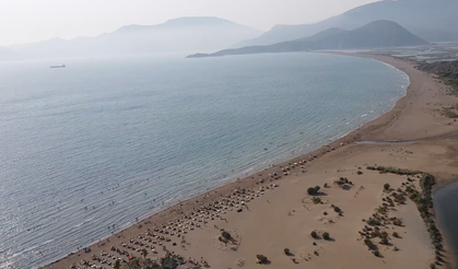 Uydu cihazıyla izlenen caretta caretta "Tuba" Bodrum açıklarında yaşamını sürdürüyor