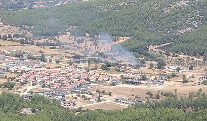 Muğla'da çıkan orman yangını söndürüldü