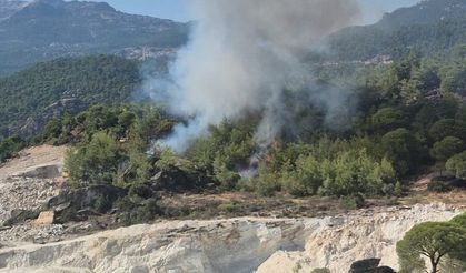 Milas’ta orman yangını