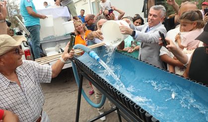 Bodrum’da balık festivali için geri sayım başladı
