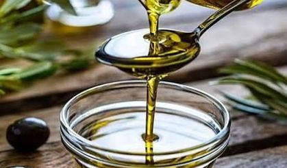 Muğla'da "Zeytin, Zeytinyağı ve Turizm Festivali" düzenlenecek