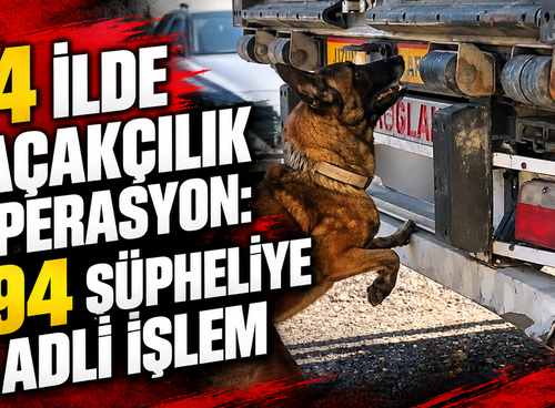 54 ilde kaçakçılık operasyon: 294 şüpheliye adli işlem