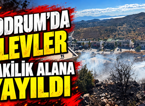 Bodrum’da alevler makilik alana yayıldı