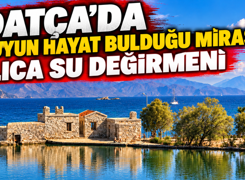 DATÇA’DA SUYUN HAYAT BULDUĞU MİRAS: ILICA SU DEĞİRMENİ