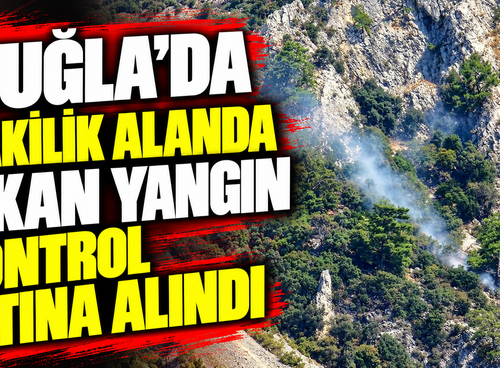 Muğla’da makilik alanda çıkan yangın kontrol altına alındı