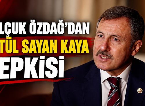 SELÇUK ÖZDAĞ’DAN BETÜL SAYAN KAYA TEPKİSİ