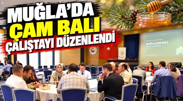 Muğla’da Çam Balı Çalıştayı düzenlendi