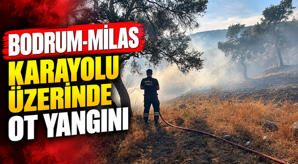 Bodrum-Milas karayolu üzerinde ot yangını