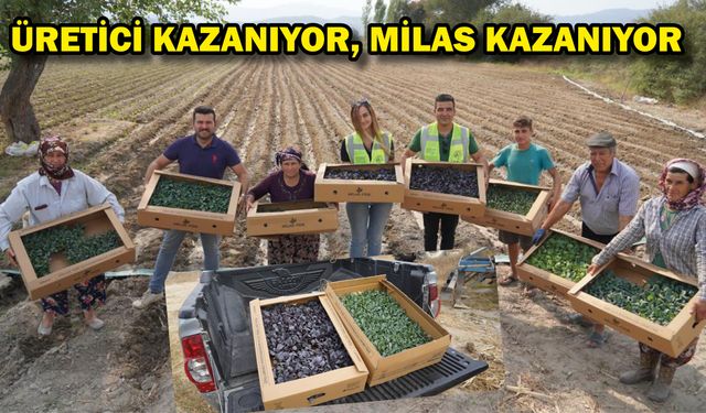 ÜRETİCİ KAZANIYOR, MİLAS KAZANIYOR