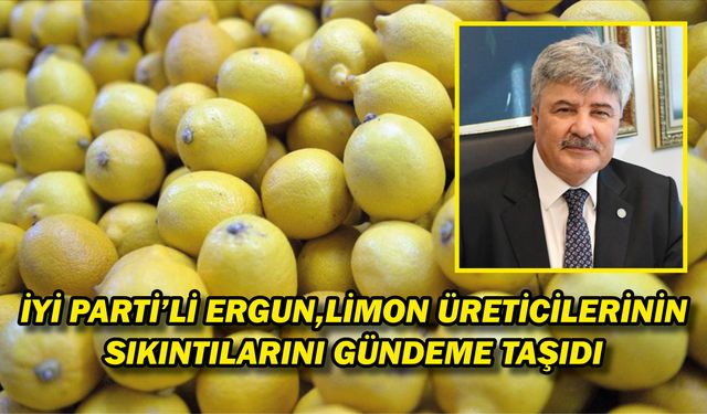 İYİ Parti’li Ergun,limon üreticilerinin sıkıntılarını gündeme taşıdı