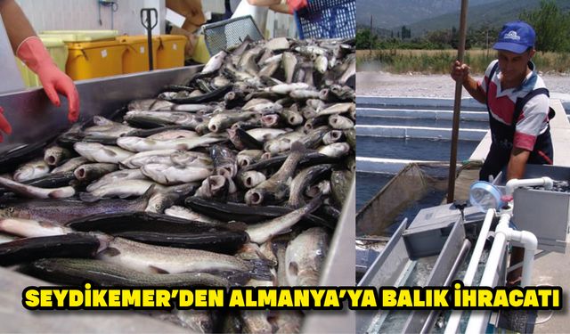 Seydikemer’den Almanya’ya balık ihracatı