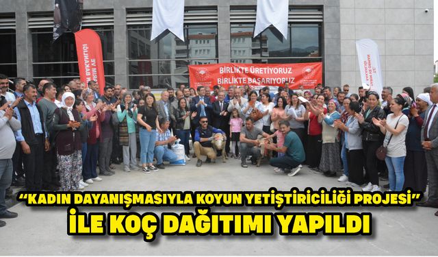 “Kadın Dayanışmasıyla Koyun Yetiştiriciliği Projesi”  ile koç dağıtımı yapıldı