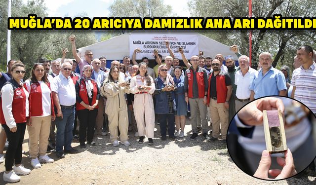 Muğla'da 20 arıcıya damızlık ana arı dağıtıldı